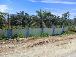 Kerusakan Taman Wisata Alam Danau Dendam Tak Sudah Kian Mengkhawatirkan, Sawit Menggeser Anggrek Pensil
